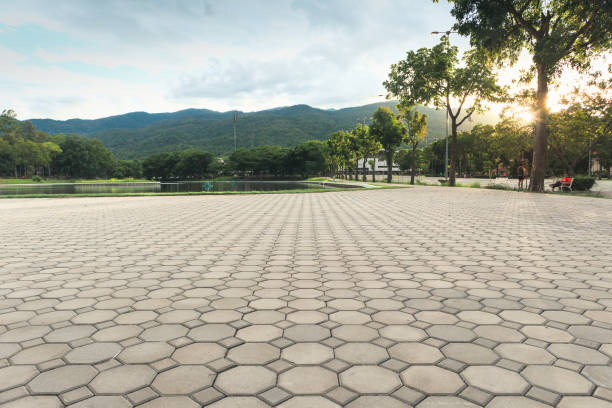 Best Residential Paver Driveway  in Greenbrier, AR