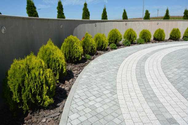 Best Decorative Driveway Pavers  in Greenbrier, AR